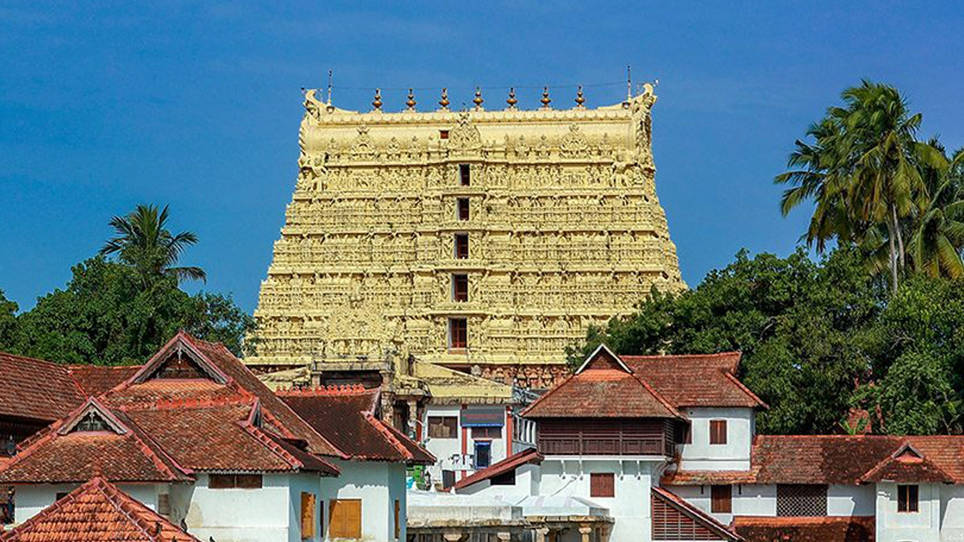 Luxury Bus Exterior Urbania